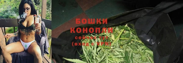 стаф Тольятти