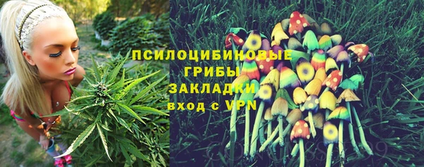 молекула духа Барнаул