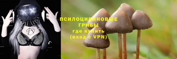 молекула духа Барнаул