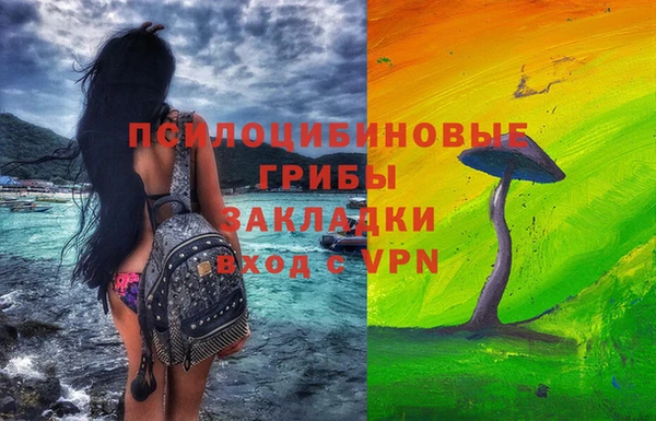 молекула духа Барнаул