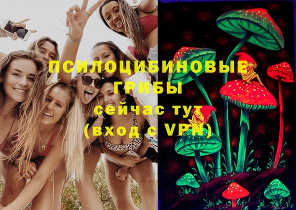 молекула духа Барнаул